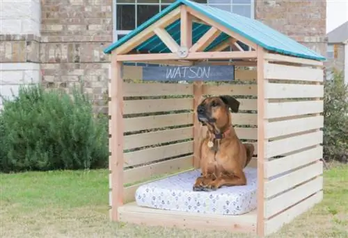 DIY Doghouse Gazebo