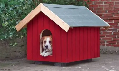 DIY Hundehus