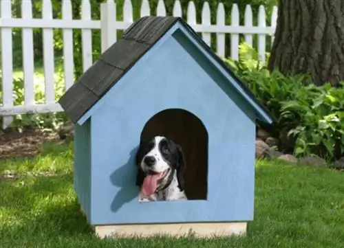 DIY Doghouse