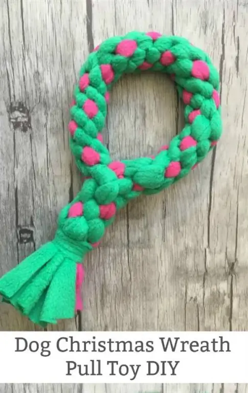 COMMENT FABRIQUER UNE COURONNE DE NOËL POUR CHIEN À TIRER DIY