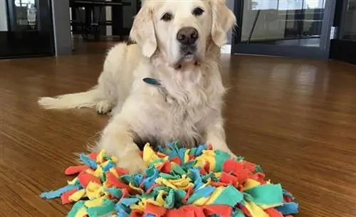 Holiday Snuffle Mat