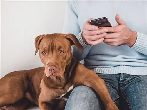 man die zijn telefoon gebruikt met zijn hond naast hem