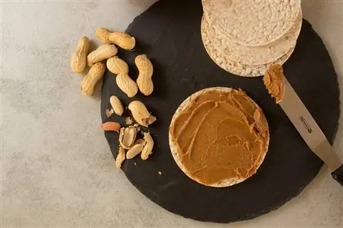 pâte à tartiner au beurre de cacahuète