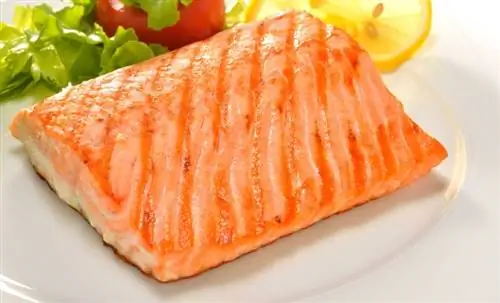 salmon masak di atas pinggan