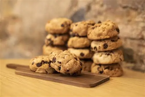 biscoitos de chocolate