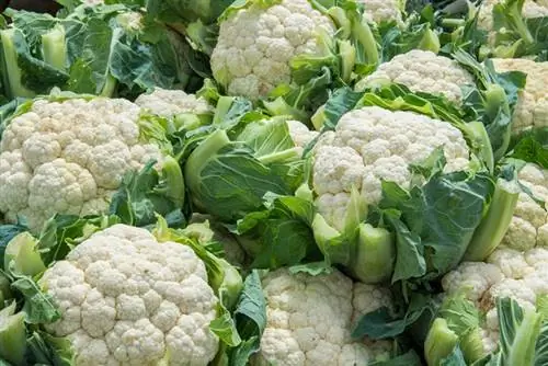 Cauliflower