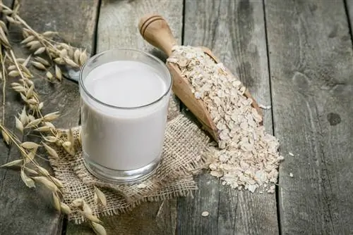 latte d'avena in un bicchiere sulla tavola di legno