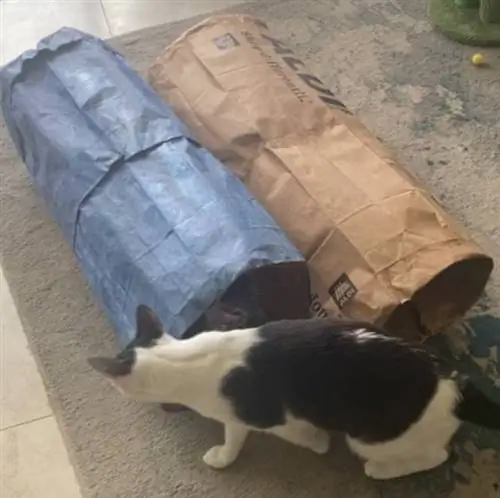 Túnel de bricolaje para gatos con bolsas de papel