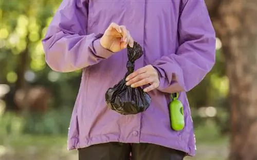 mujer sosteniendo una bolsa de basura después de limpiar la caca de perro al aire libre