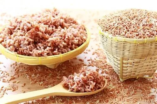 arroz integral en cuchara de madera