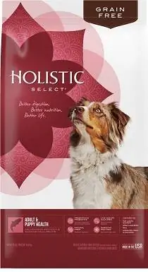 Holistic Select Adult & Puppy He alth Recette de repas au saumon, à l'anchois et à la sardine Nourriture sèche pour chiens sans céréales