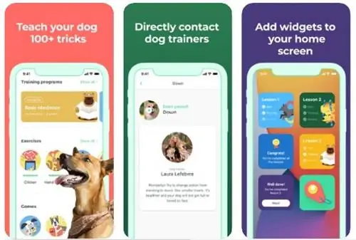 ứng dụng DOGO ios