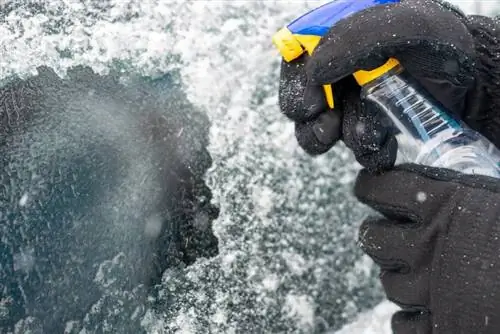 La fonte des glaces est-elle sans danger pour les pattes de chien ? Faits examinés par le vétérinaire & Conseils