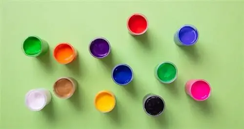 pinturas de dedos en varios colores