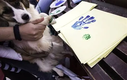 impressão da mão e pegada de cachorro no papel