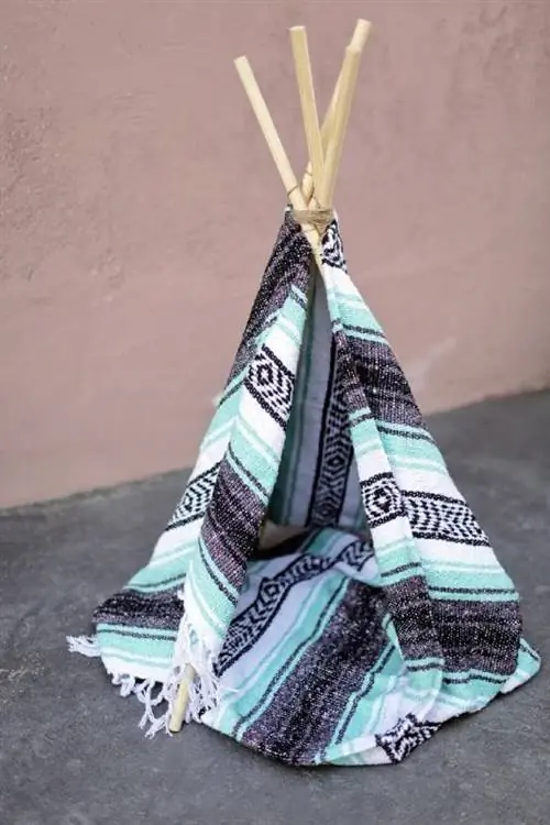 KAKO NAREDITI DIY MAČJI TEEPEE, KI BO VŠEČ VAŠIM MAČKAM