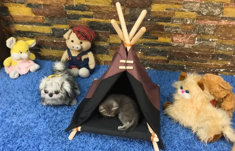 DIY Universal Pet Adventure Tent