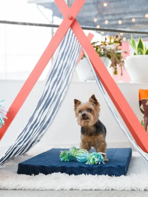 Carpa portátil de verano para mascotas DIY