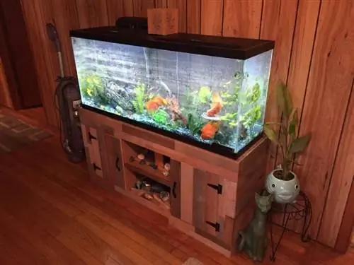 Supporto per acquario per pallet di recupero