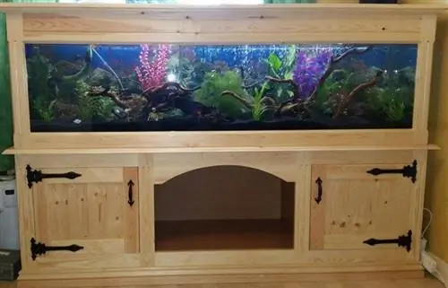 D. I. Y Aquarium Wooden Pine Stand