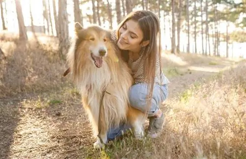 jovem dono de cachorro abraçando seu collie de estimação na floresta