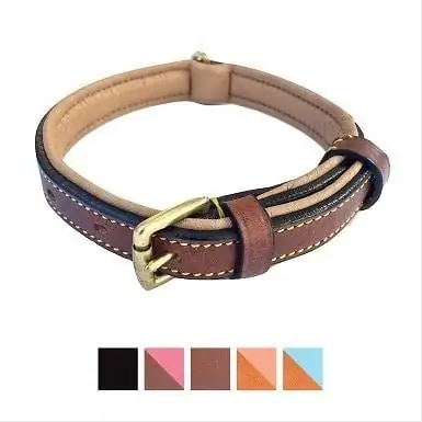 3Soft Touch Collars Collier pour chien rembourré bicolore en cuir