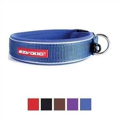 6EzyDog Neo cổ điển Dog Collar