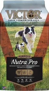 5VICTOR Select Nutra Pro Chien Actif