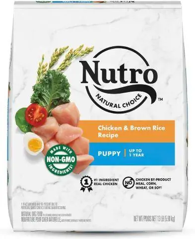 Nutro Natural Choice Valp Kyckling & Brunt ris recept Torrfoder för hundar