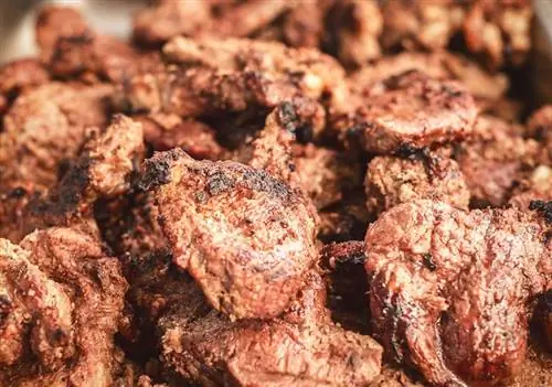 Bisakah Anjing Makan Daging Gyro? Bimbingan Diet yang Ditinjau Dokter Hewan