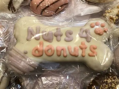 nærbillede af nødder 4 donuts fra wufers