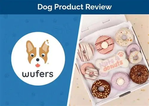 Wufers Dog Cookies Review 2023: Биздин эксперттин пикири