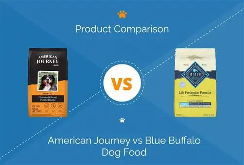 رحلة أمريكية مقابل Blue Buffalo Dog Food: مقارنة 2023