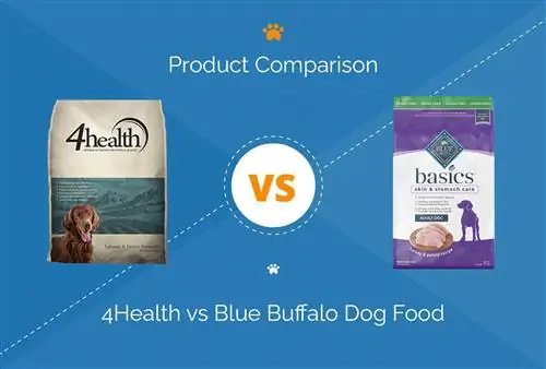 4He alth vs Blue Buffalo Dog Food: comparació 2023