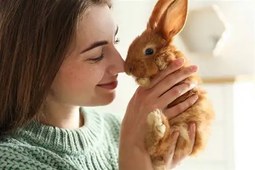 Mujer joven con adorable conejo en el interior