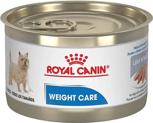 Royal Canin салмағын күтетін консервіленген ит