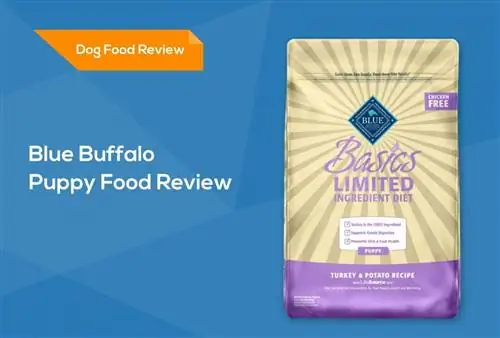 Blue Buffalo Puppy Food Review 2023: opoziva, prednosti & Protiv