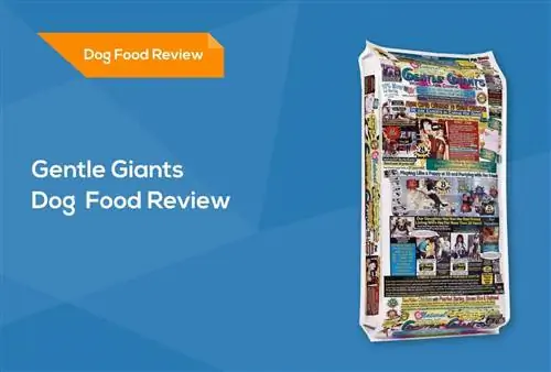 Gentle Giants Dog Food Review 2023: Recalls, Pros, & Cons