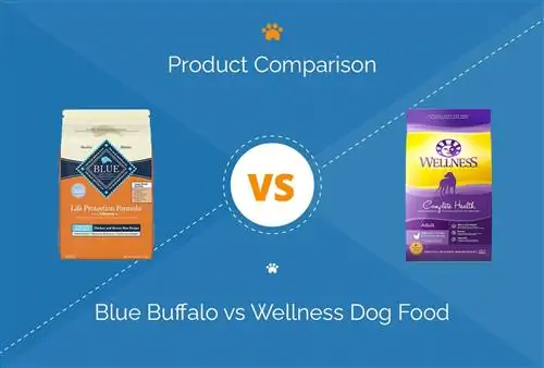 Blue Buffalo vs Wellness Dog Ushqimi: Krahasimi ynë i thelluar i vitit 2023