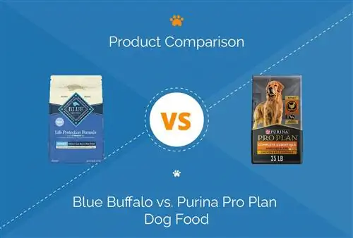 Krmivo pre psov Blue Buffalo vs. Purina Pro Plan: porovnanie roku 2023