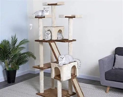 Nenda Pet Club 71-in cat tree_Chewy