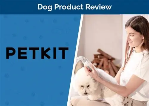 PETKIT AirClipper Pet Grooming Kit Review 2023: Vår eksperts mening