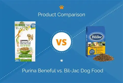 Purina Beneful vs. Bil-Jac koiranruoka: 2023 vertailu