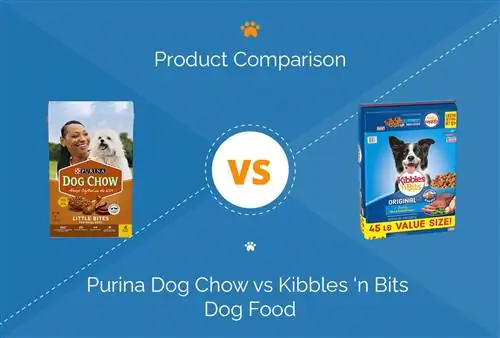 Purina Dog Chow vs Kibbles ‘n Bits kutyaeledel: 2023-as összehasonlítás