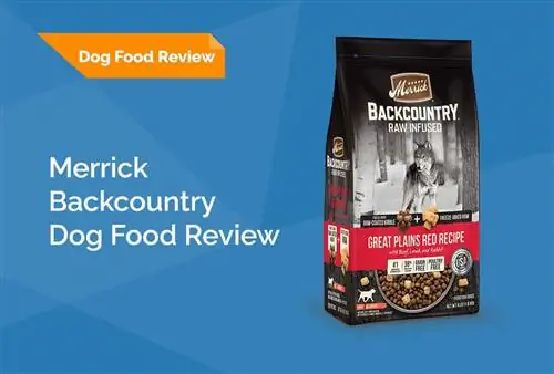 Merrick Backcountry Dog Food шолу: еске түсіру, артықшылықтар & кемшіліктер