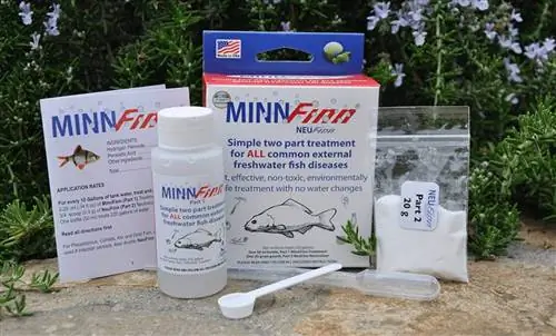 minnfinn накисване