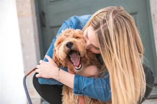 labradoodle hond en vrou buite op balkon