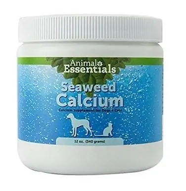 Animal Essentials JX0001 Seaweed Calcium