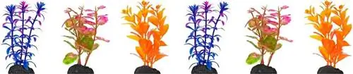 Penn-Plax Betta Plantes d'aquarium multicolores