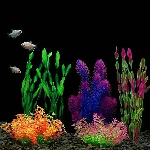 Plantes d'aquariums artificiels MyLifeUNIT